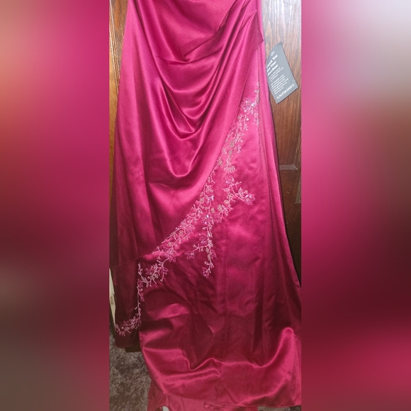 Prom / Formal Dress - Picture 4 of 5